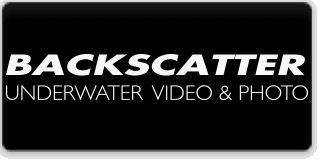 Backscatter