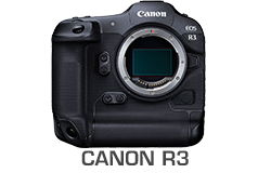 Canon EOS R3 Camera Underwater Review
