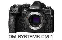 OM System OM-D OM-1 Camera Underwater Review