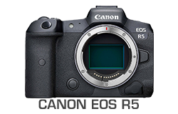 Canon EOS R5 Camera Underwater Review